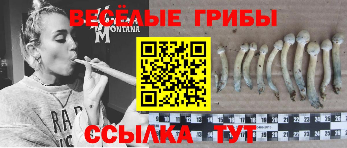 Галлюциногенные грибы MAGIC MUSHROOMS Анжеро-Судженск
