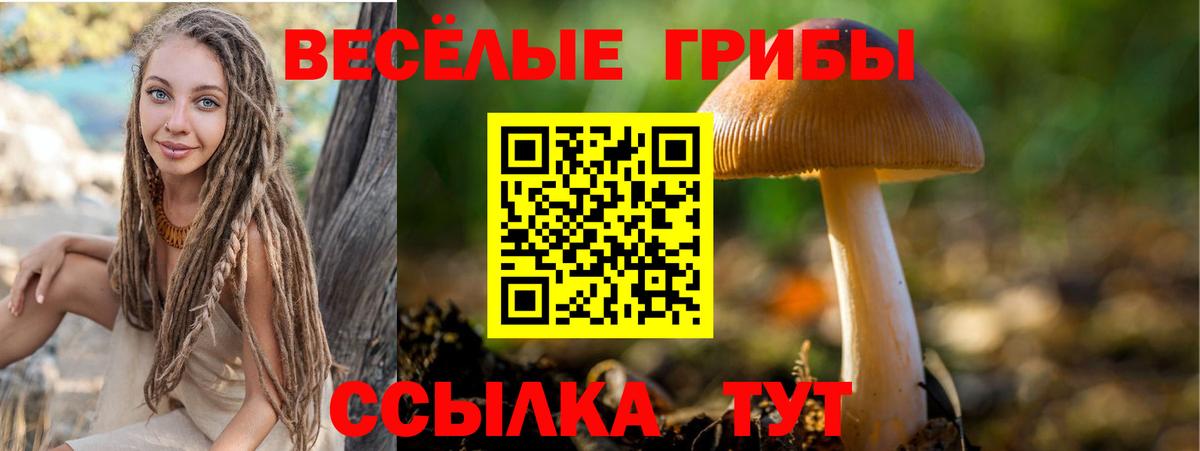 Анжеро-Судженск  Псилоцибиновые грибы мухоморы  Галлюциногенные грибы Psilocybine cubensis  Вход с VPN 